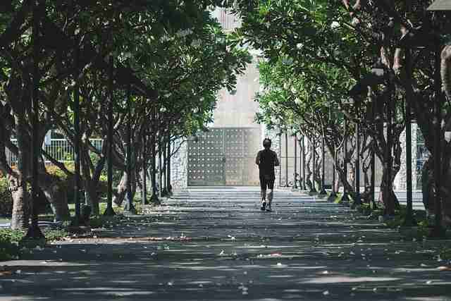 【观众反馈】最新大赛内容直播弹幕节奏波动分析，触动人心